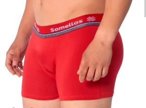 Cueca Boxer Somellos Microfibra